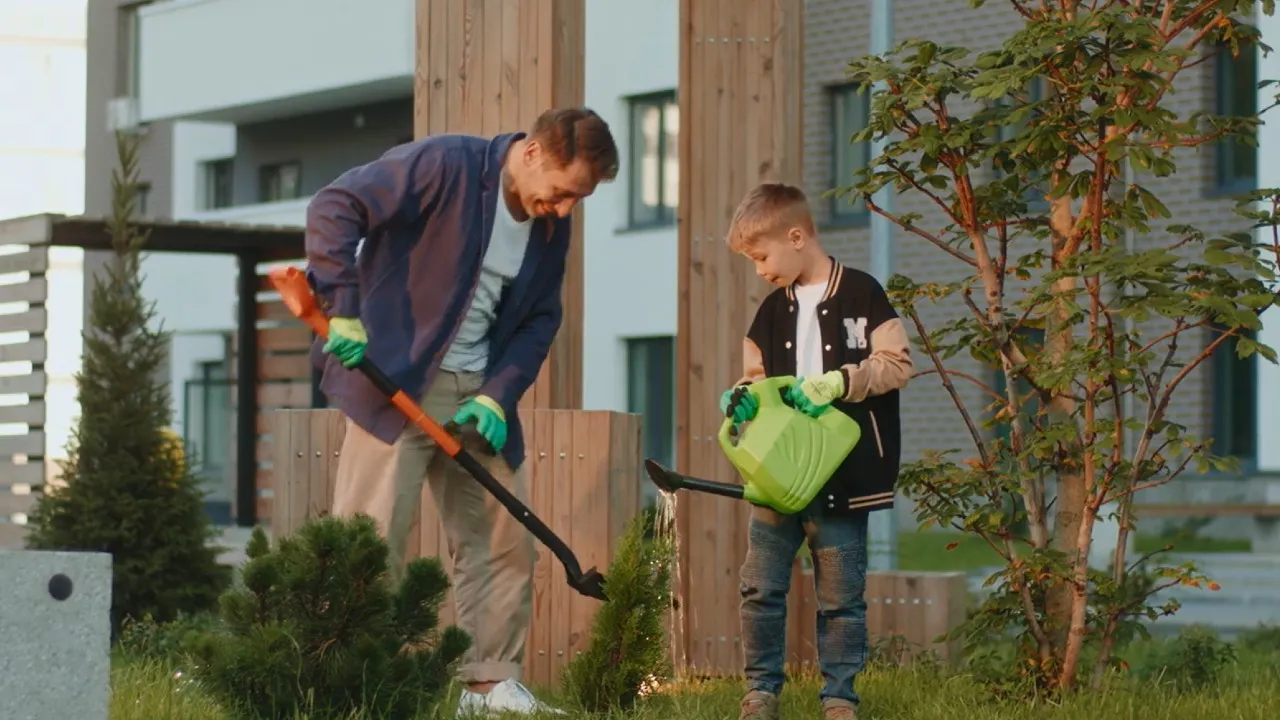 Ландшафтный дизайн Ландшафтный дизайн