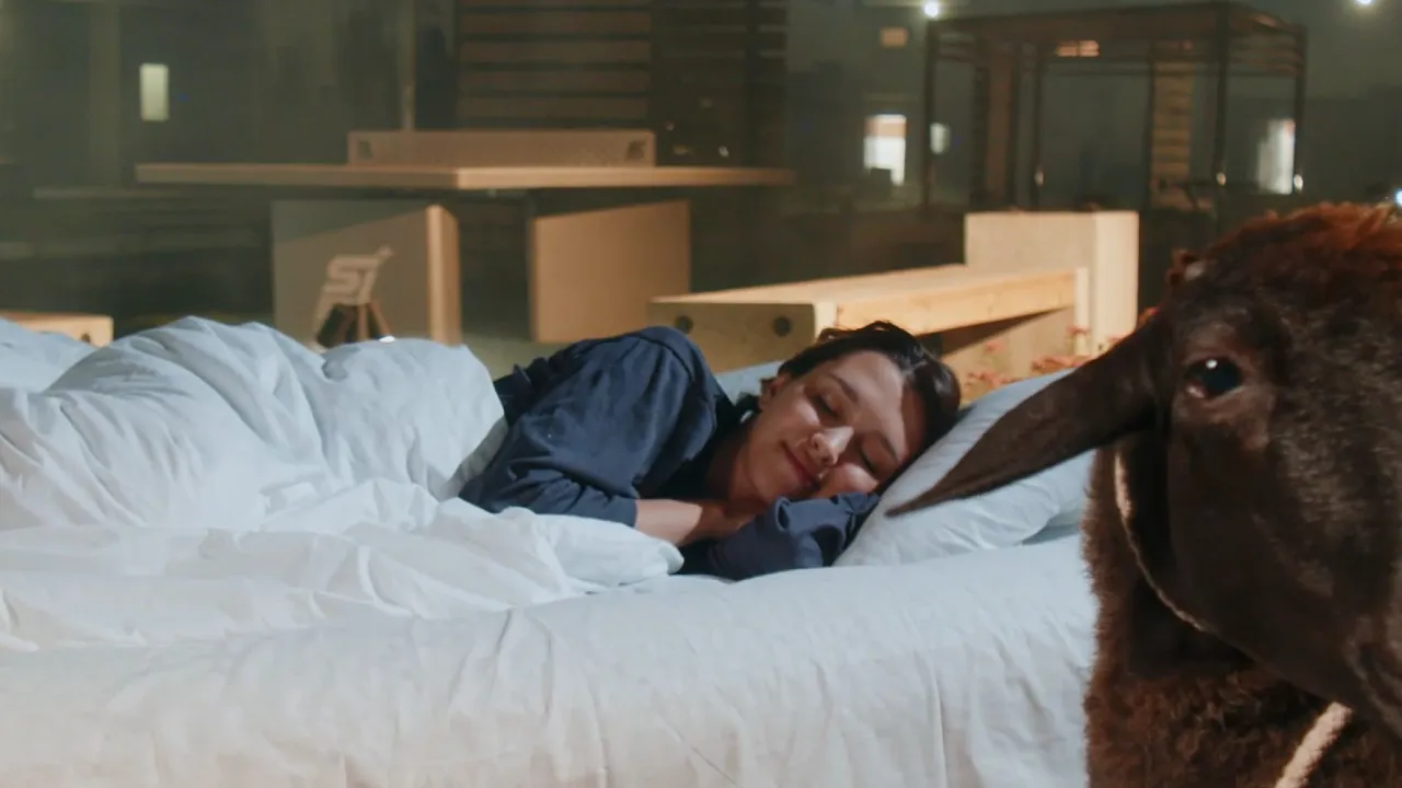 Закрытая придомовая территория Закрытая придомовая территория